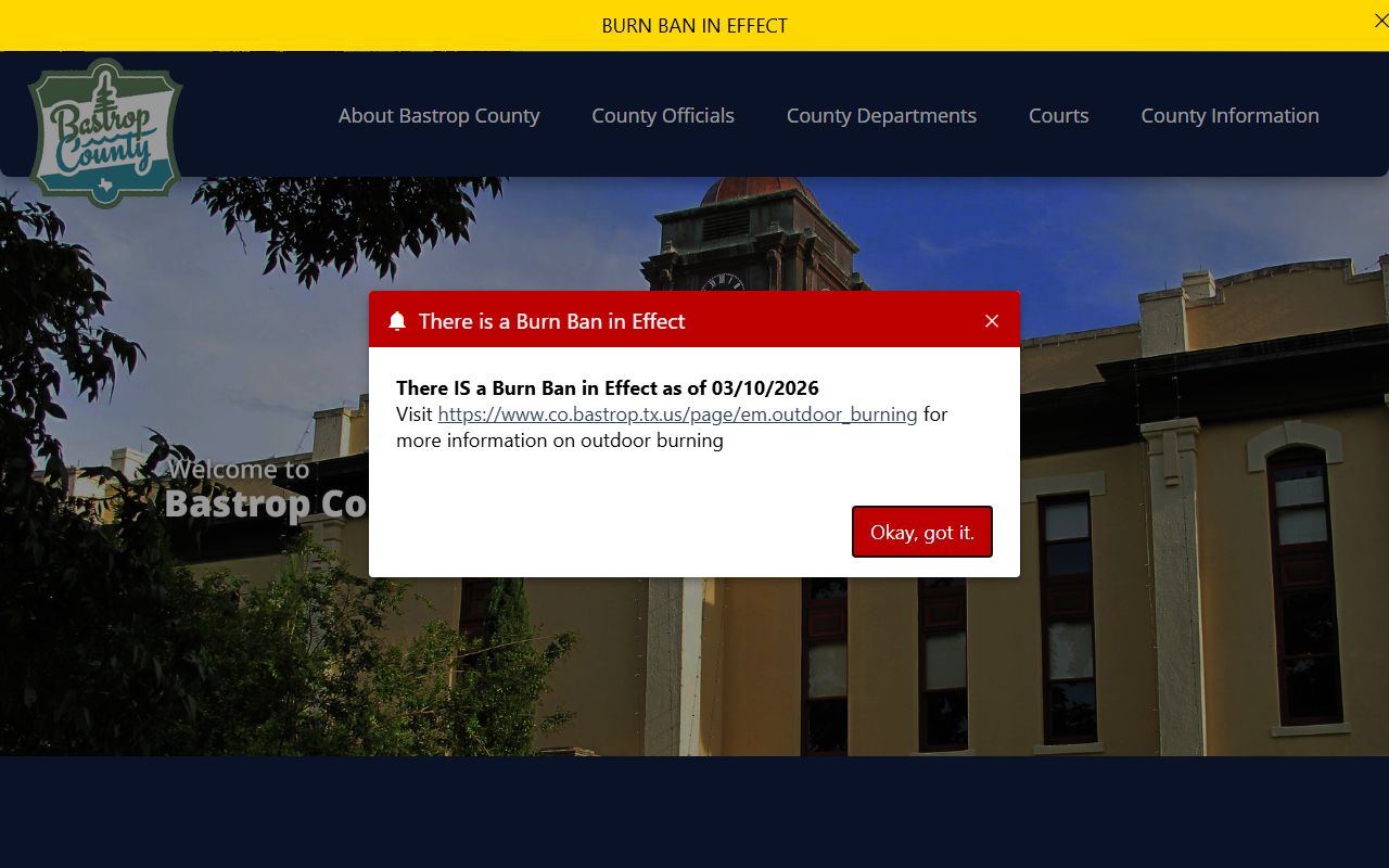 Bastrop County criminal history records
