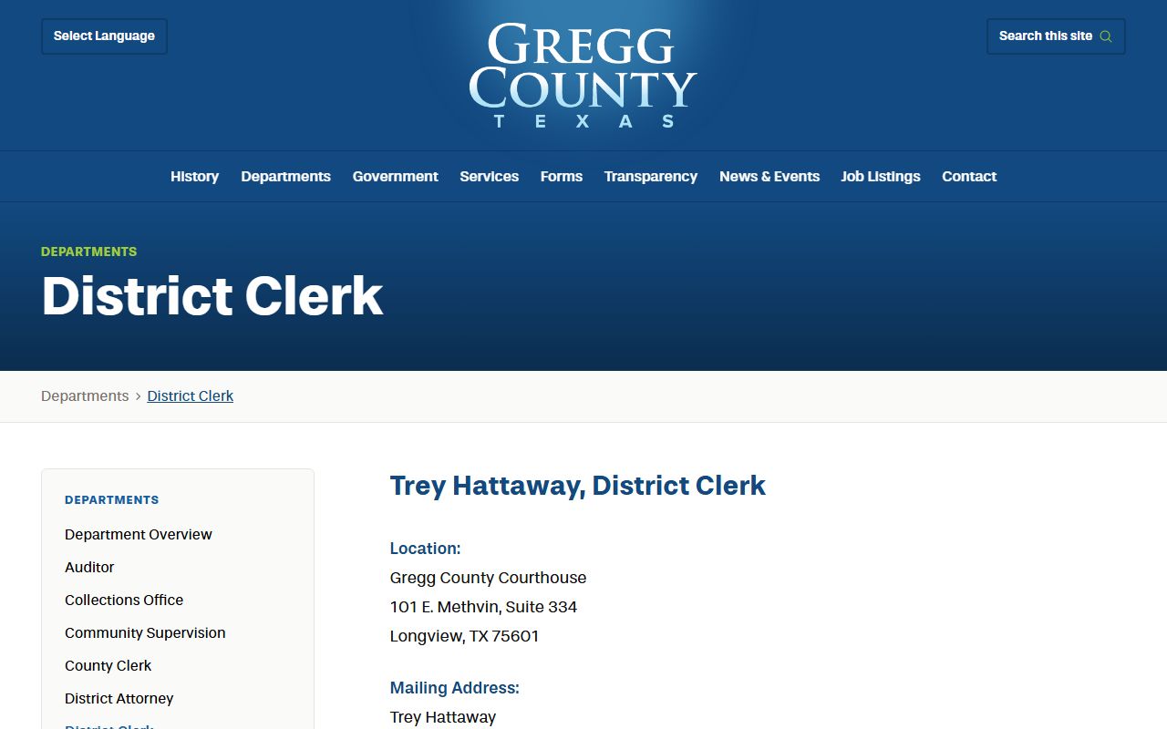 Gregg County criminal history records