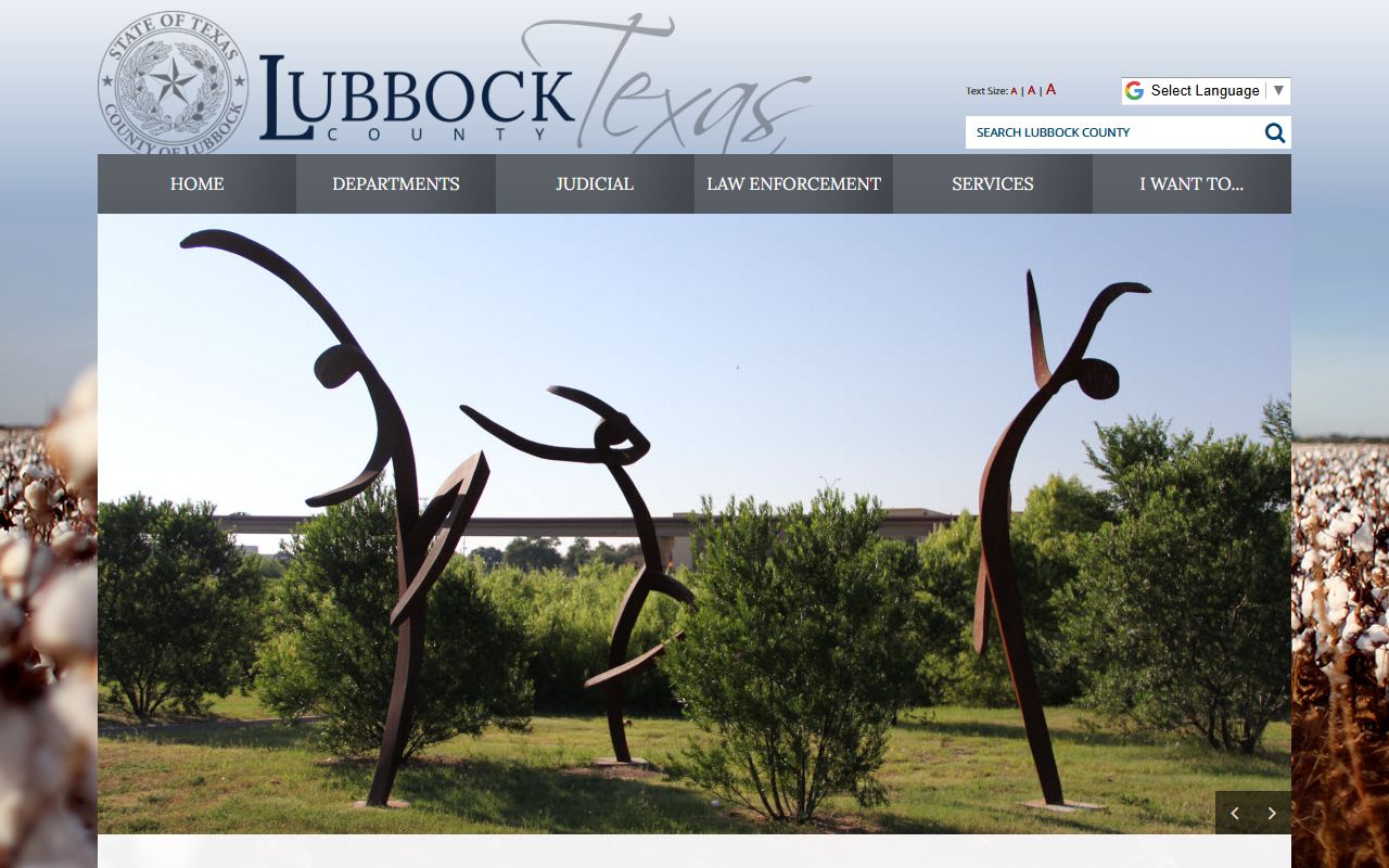 Lubbock County criminal history records